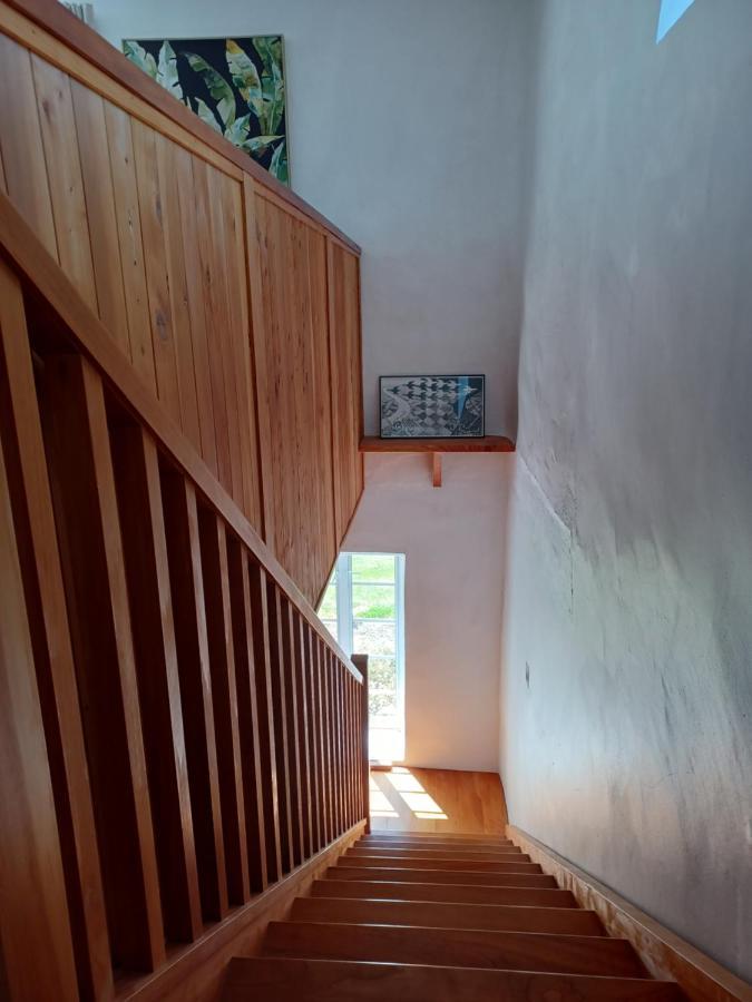 Pirita Vineyard Cottage. Upper Moutere Dış mekan fotoğraf