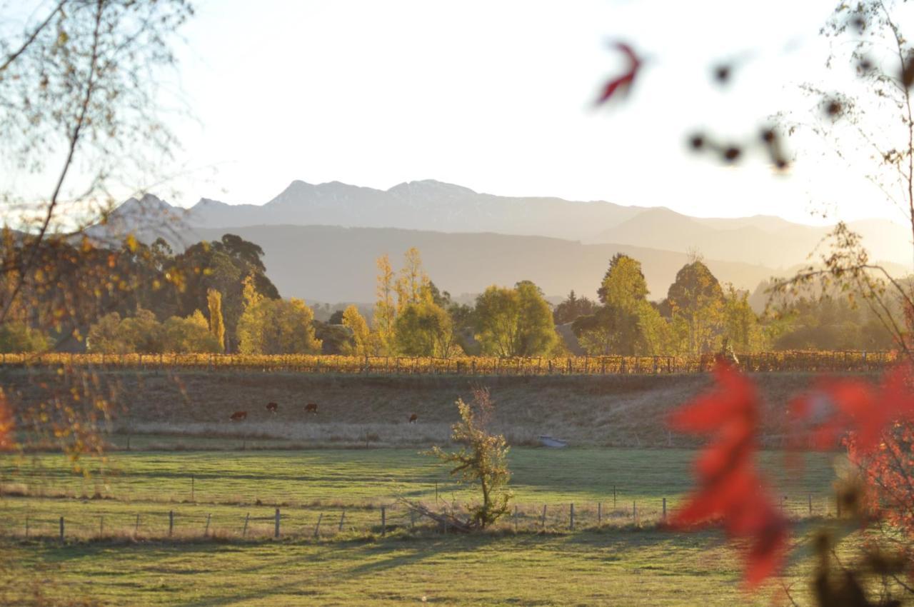 Pirita Vineyard Cottage. Upper Moutere Dış mekan fotoğraf